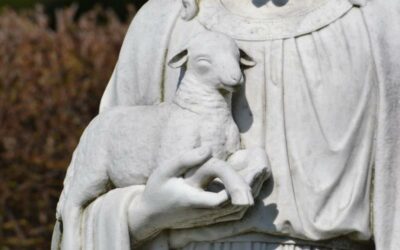 Shepherd by Design: Spiritual Leadership and the Weight of the Staff