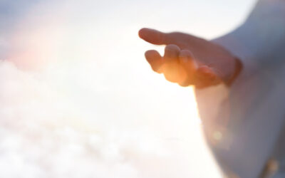 Fear Has No Place Here: The Courageous Shepherd